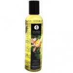 Massage Oils - ORGANICA Green Tea 240ML