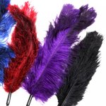 Sportsheets - Ostrich Tickler – Purple