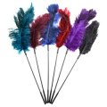 Sportsheets - Ostrich Tickler – Purple