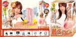 The working population, "Ayumi" male masturbation device